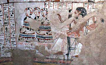 Onions and festivals in Ancient Egypt
